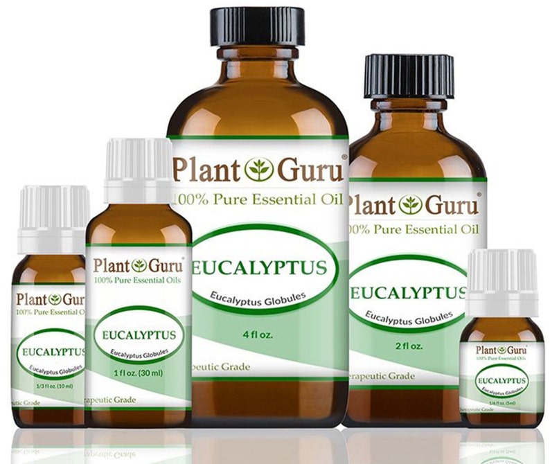 Eucalyptus Essential Oil 100% Pure Natural Therapeutic Grade, Eucalyptus Globules, Bulk Wholesale For Skin, Soap, Candle and Diffuser image 1