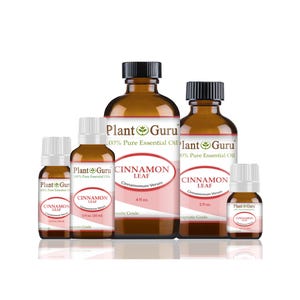 May include: A collection of amber glass bottles of Plant Guru Cinnamon Leaf essential oil. The bottles vary in size, with black caps and white labels featuring the product name and botanical information. The labels have a pink oval design.