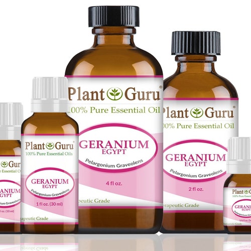 Geranium Essential Oil bourbon 100 Pure Natural Etsy