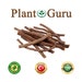 Licorice Root Chew Sticks 100% Pure Organic 'NATURAL FLAVOR' No Additives Bulk 