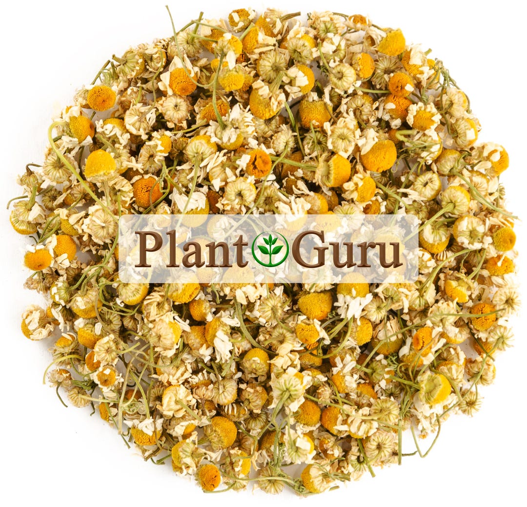 Chamomile Flowers Whole Organic Matricaria Chamomilla Tea Loose Bulk ...