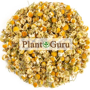 Chamomile Flowers Whole Organic Matricaria Chamomilla Tea Loose Bulk Dried Herb