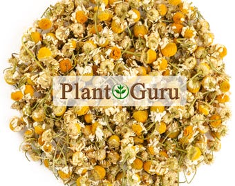 Chamomile Flowers Whole Organic Matricaria Chamomilla Tea Loose Bulk Dried Herb