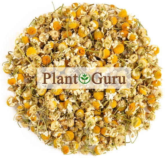 Chamomile Flowers Whole Organic Matricaria Chamomilla Tea Loose Bulk Dried Herb