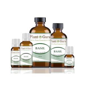 May include: An assortment of amber glass bottles of basil essential oil. The bottles vary in size, with black caps and white labels. The labels read "Plant Guru" and "BASIL Ocimum Basilicum". The largest bottle is 4 fl oz.