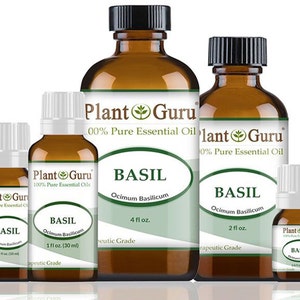 Basil Essential Oil 100% Pure Natural Therapeutic Grade, Ocimum Basilicum, Bulk Wholesale Available