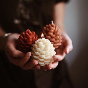 May include: Three pine cone-shaped candles in shades of red-brown, brown, and cream are held in cupped hands. The cream-colored candle in the center is lit, with a small flame. The candles have a textured, layered design.