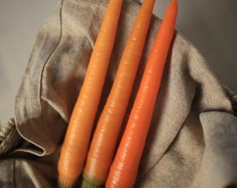 Carrot Candle, Food Candles, Real Fruit & Vegetables Candles, beeswax candles, beeswax taper candles