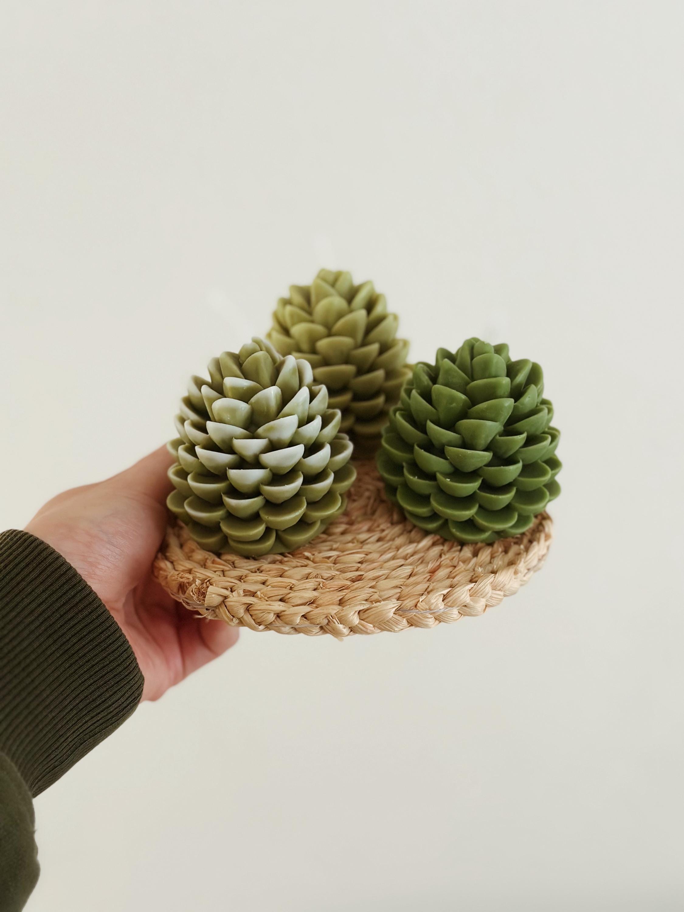 Beeswax Candle Pine Cone green 4