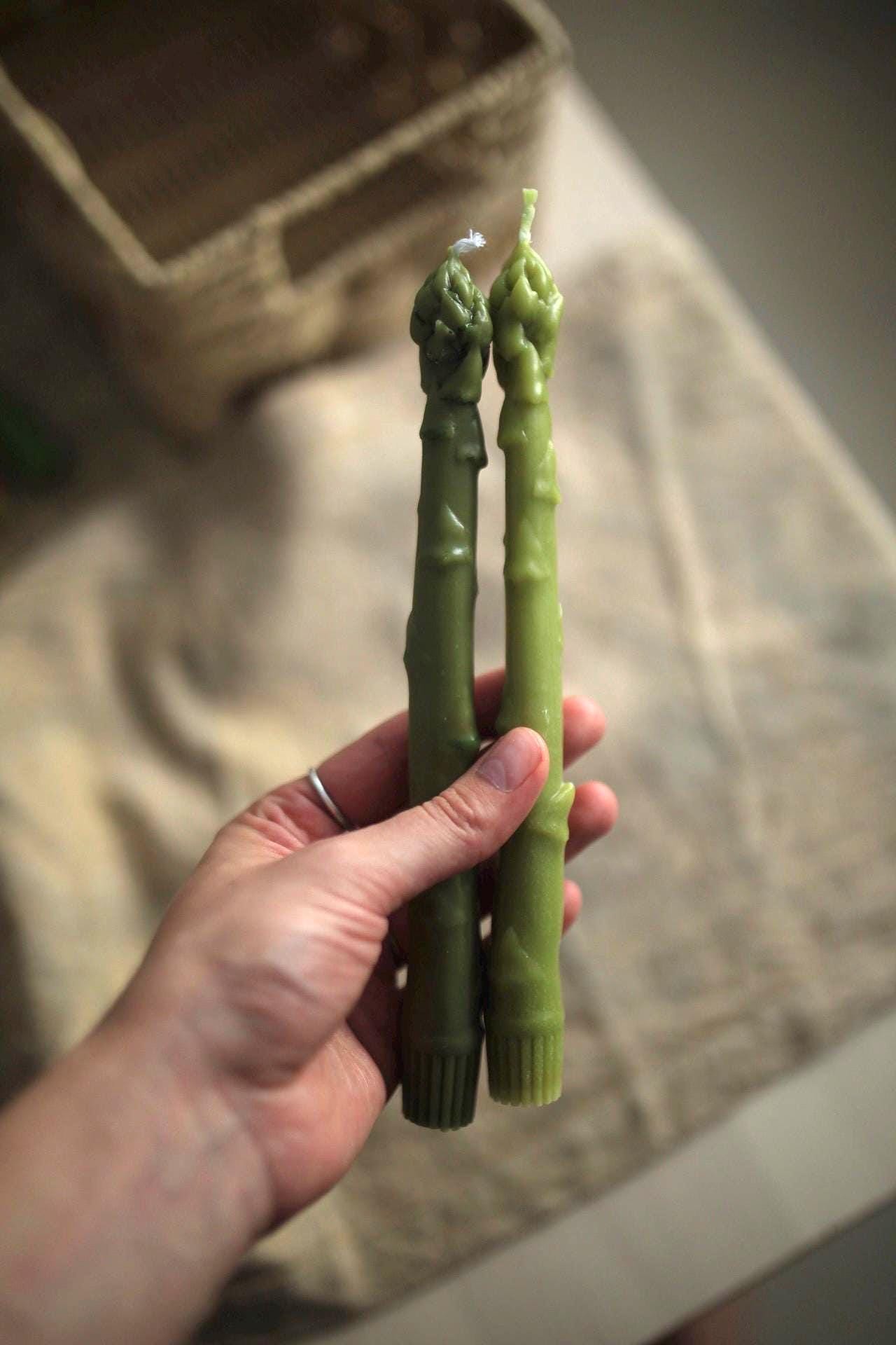 Asparagus Beeswax Taper Candle