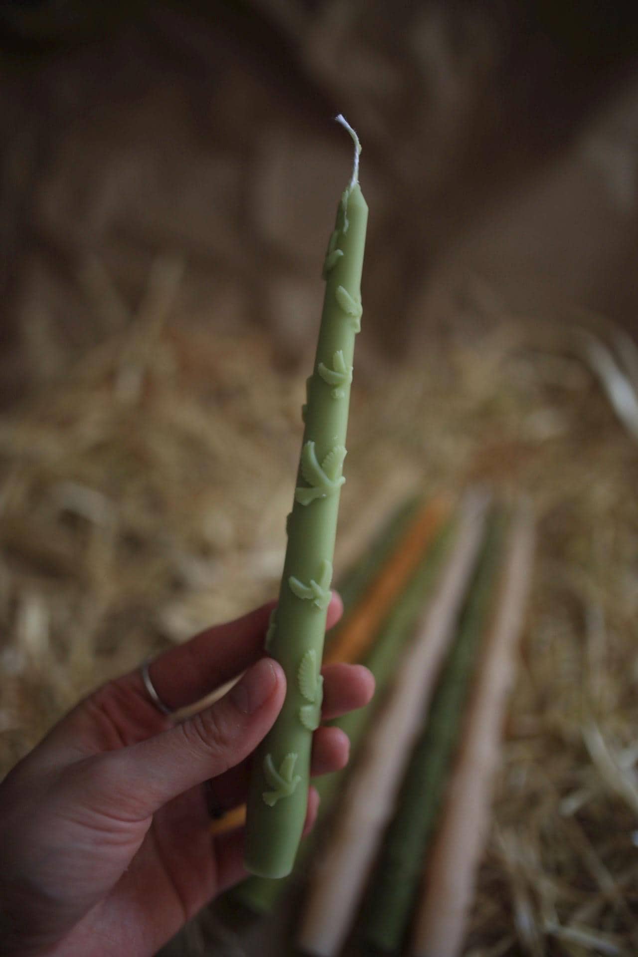 Set of 5 Autumn Beeswax Taper Candles 8