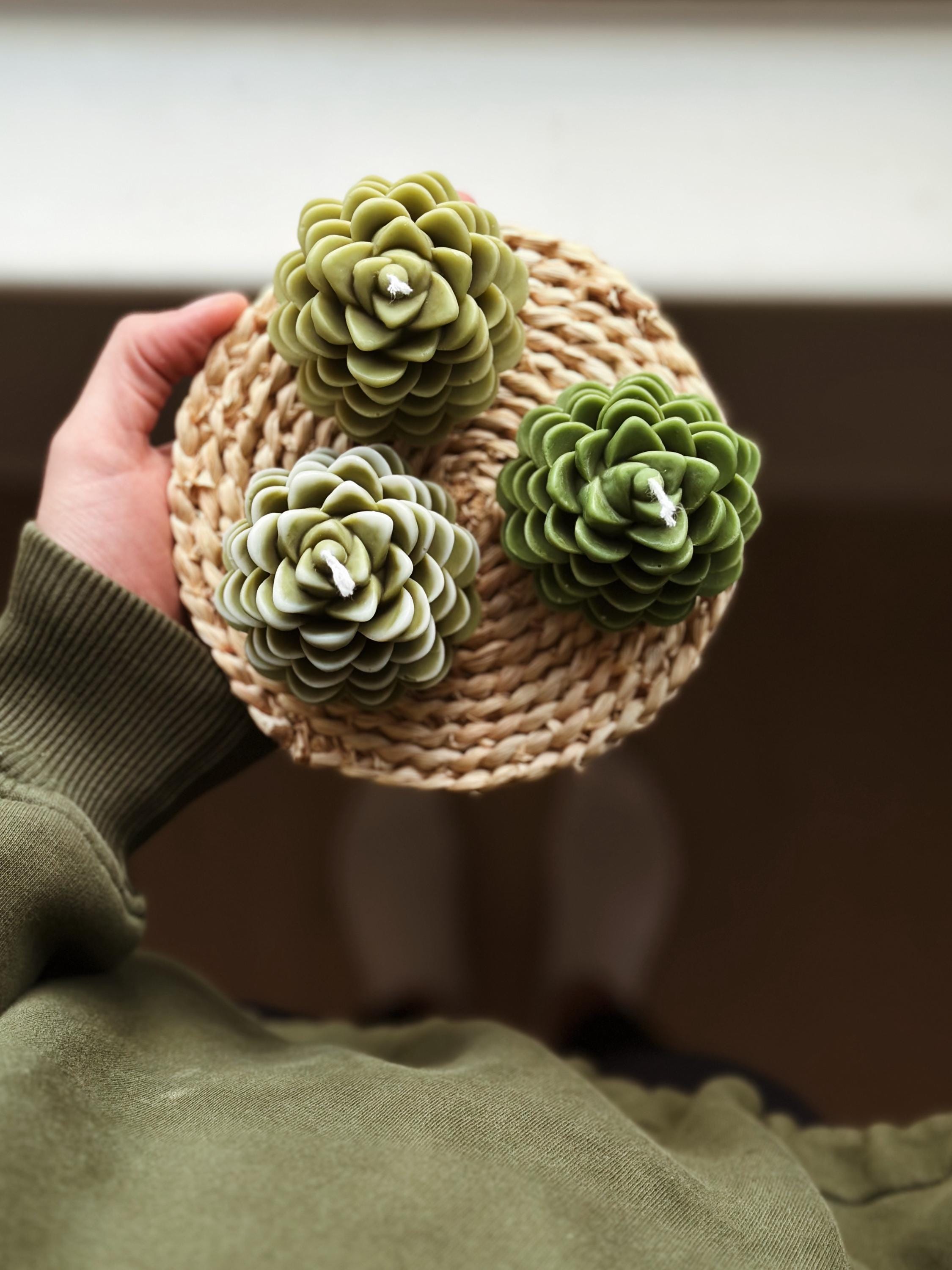 Beeswax Candle Pine Cone green 2