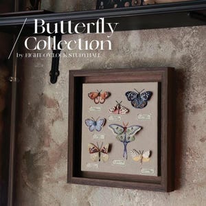 Puede incluir: Una obra de arte enmarcada con una colección de mariposas bordadas. Las mariposas, de varios colores y patrones, están etiquetadas. El marco es marrón oscuro y el fondo es de tela beige neutra. El texto "Butterfly Collection" es visible.