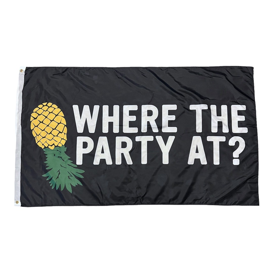 Humor Flag Where the Party at Flag // 3x5 Banner American Flag // Funny Humor ...