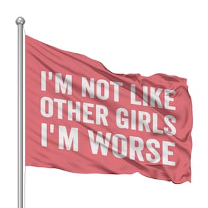 I&#39;m not like other girls im worse flag // funny womens flag // funny college flag // funny boating flag // funny bachelorette party flag
