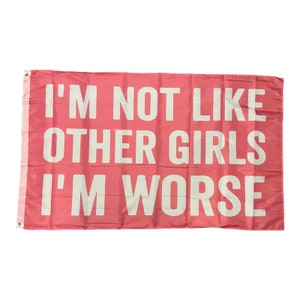 I&#39;m not like other girls im worse flag // 3x5 banner american flag // funny humor novelty flag // college dorm party frat bachelorette party