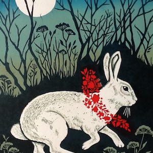 Lapin blanc