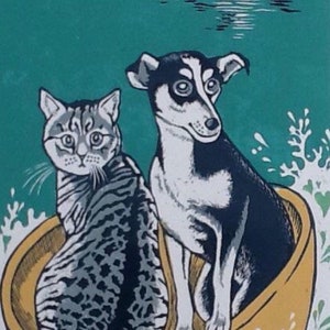 The Cat’s Nightmare!
