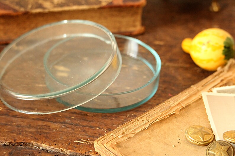 Large Petri Dish Vintage Lab Glass Lab Jar Science Etsy