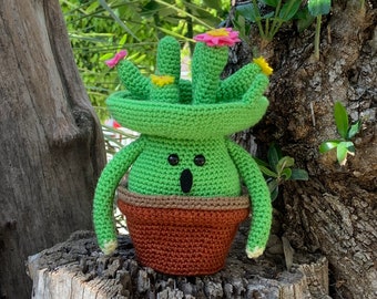 Cactus Plush  - Crochet Cactus - Interactive Toy  - Succulent Doll - Succulent Push - Pin Cushion