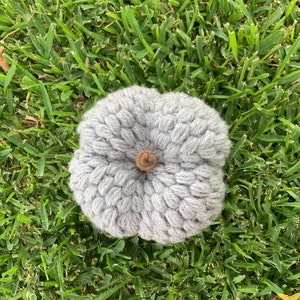 May include: A gray crocheted pumpkin with a brown button stem.