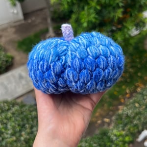 May include: A blue and white crocheted pumpkin with a purple stem.
