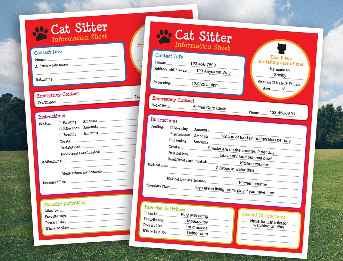 Catsitter Form, Cat Certificate, Cat Sitter, Gift for Cat Lover, Pet