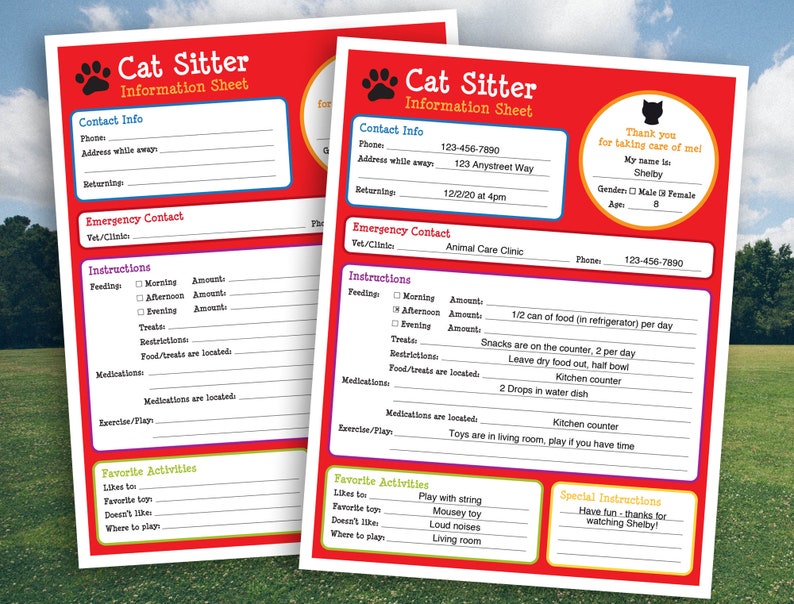 Catsitter Form Cat Certificate Cat Sitter Gift for Cat Etsy Australia