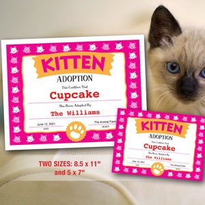 Kitten Adoption Certificate, Adopt a Kitty Printable Certificate, Cat Birthday, Digital Download PDF