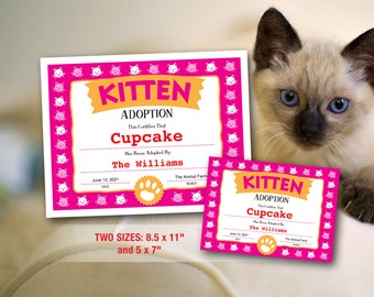 Kitten Adoption Certificate, Adopt a Kitty Printable Certificate, Cat Birthday, Digital Download PDF