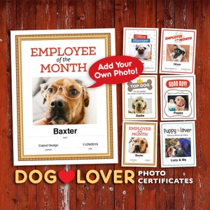 Funny Dog Photo Certificates: 6 Downloadable Designs (PDF)