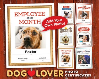 Certificati fotografici divertenti per cani: 6 modelli scaricabili (PDF)