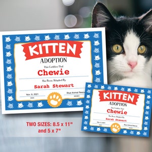 Kitten Adoption Certificate, Adopt a Kitty Printable Certificate, Cat Birthday, Digital Download PDF