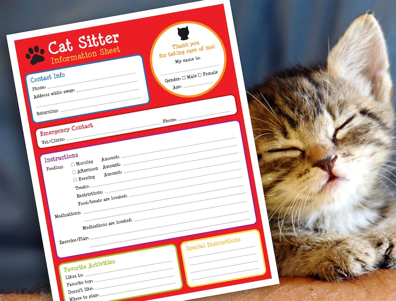 Catsitter Form, Cat Certificate, Cat Sitter, Gift for Cat Lover, Pet