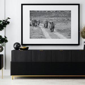 African Wildlife Photography Print | Safari Animal Wall Art | South Africa Nature Print | Gift for Wildlife Lovers | Home Decor | Rhino 001