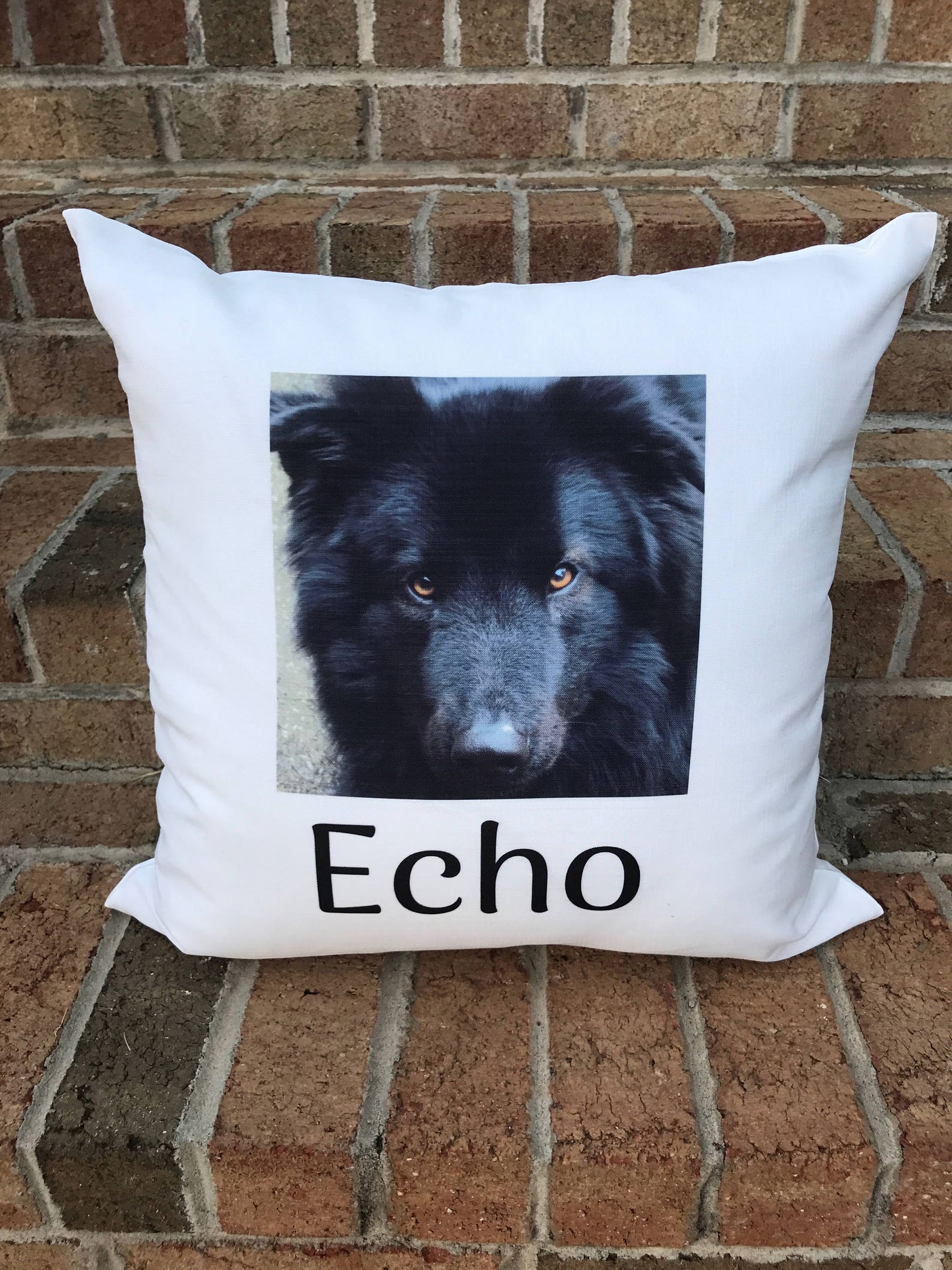 Personalized Pet Photo Pillow With Name Pet Memorial Dog Etsy