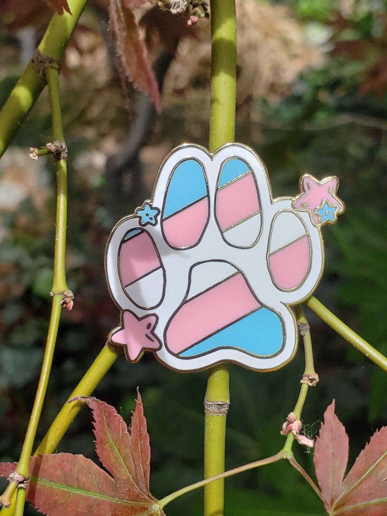May include: A white paw print enamel pin with blue, pink and white stripes. The pin has three small pink stars around it.