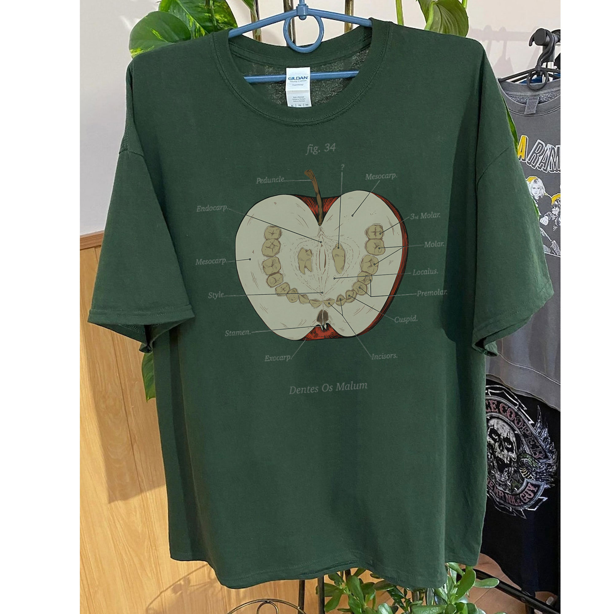 The Magnus Archives Shirt, Anatomy Class Shirt, Teeth Apple