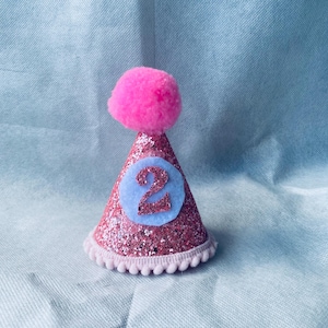 Dog Birthday Hat, Kids, Puppy, First Party Decor, Girl, Confetti Glitter, Mini, Pet Party.