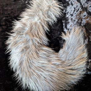 Curved Fox with Grey Fur