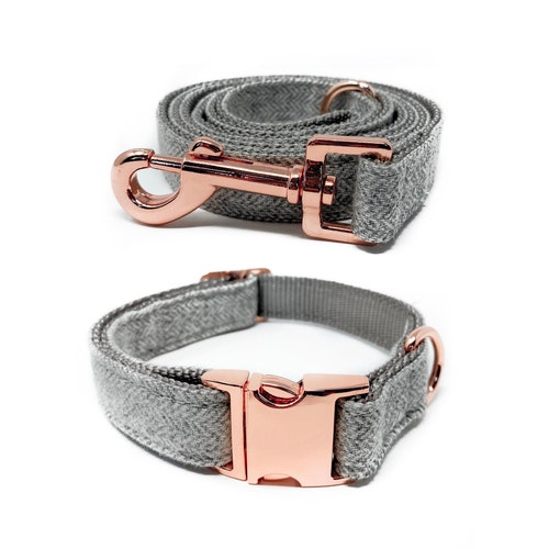 paws brand cat litter