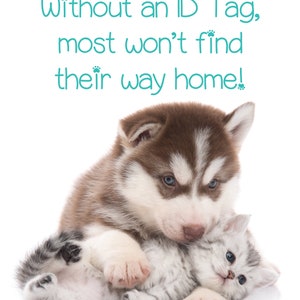 May include: A brown and white husky puppy cuddling a gray and white kitten. The image includes text that reads, "1 in 3 Pets get lost... Without an ID Tag, most won't find their way home!"