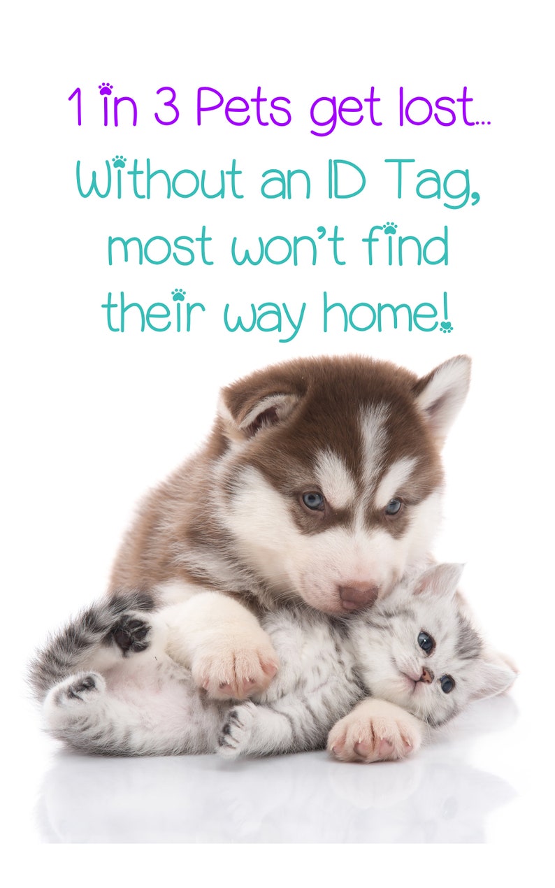 May include: A brown and white husky puppy cuddling a gray and white kitten. The image includes text that reads, "1 in 3 Pets get lost... Without an ID Tag, most won't find their way home!"