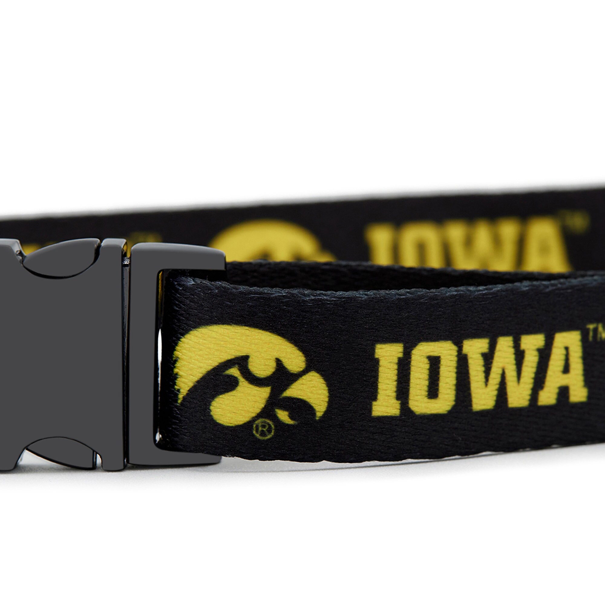 iowa hawkeye dog collar