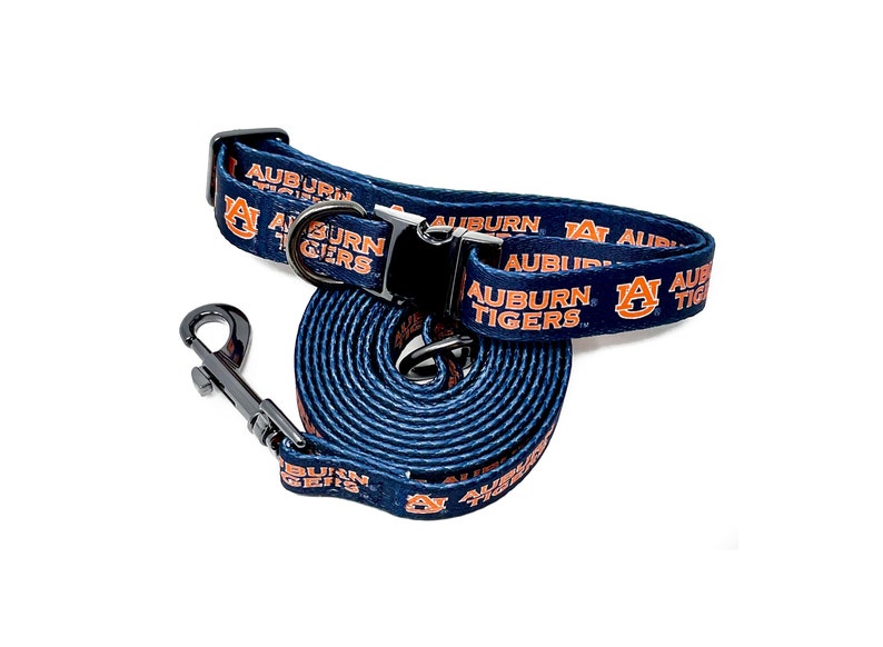 auburn cat collar