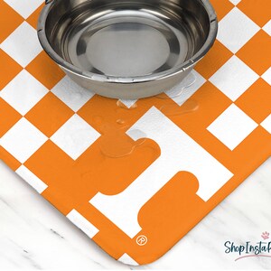 May include: Orange and white checkered pet food mat with a stainless steel bowl on top. The mat has a registered trademark symbol in the lower right corner.