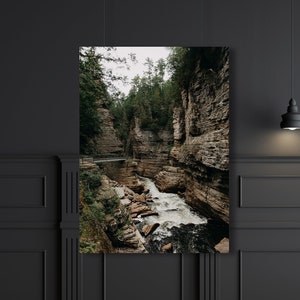 May include: A photograph of a rocky gorge with a small waterfall flowing through it. The gorge is covered in lush green trees and the water is a milky white colour.