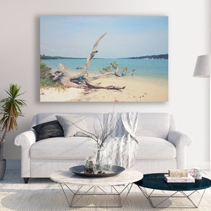 Driftwood in the Intracoastal, Jupiter Island Florida, Landscape Photograph, South Florida Beach Travel Photography, Fine Art Photograph