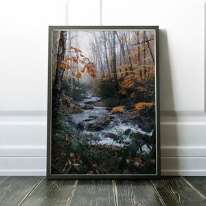 May include: Framed print of a forest stream in autumn. The photograph captures a flowing river surrounded by trees with vibrant orange and yellow leaves. The print is displayed on a dark wooden floor against a white wall.