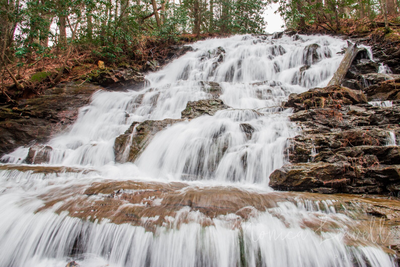 Trahlyta Falls Vogel State Park Waterfall North Etsy